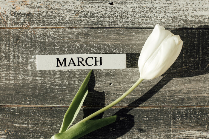 Blume und März