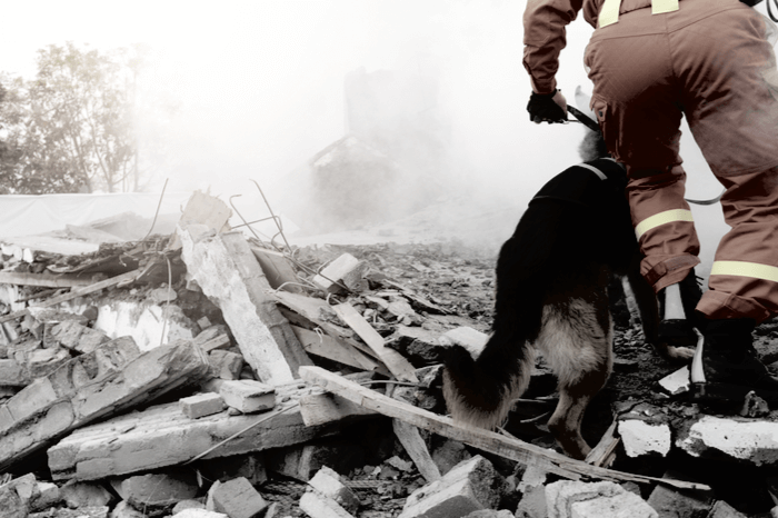 Mann mit Rettungshund in den Überresten eines zerstörten Gebäudes