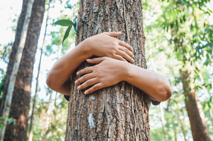 Mensch umarmt Baum: Amazon hilft Nutzern dabei, Geld für Wiederaufforstung zu spenden.