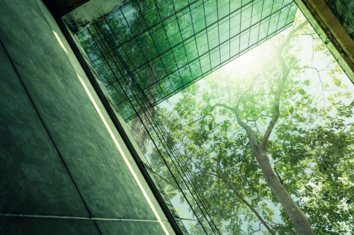 Grüne Strategien: Bäume reflektieren sich in einem Glasgebäude