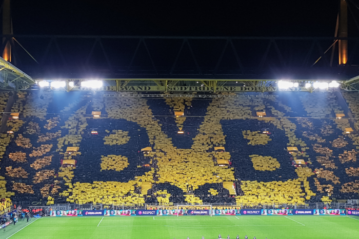 BVB: Fußballfans im Stadion