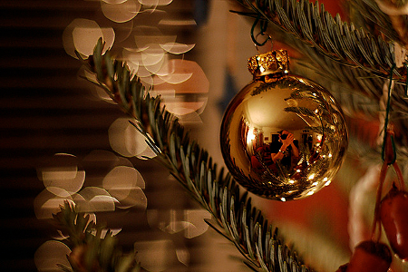 Weihnachtsbaum / A Trimmed Tree