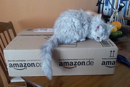 Katze auf Amazonkarton